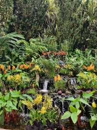 Floral beauty @National Orchid Garden