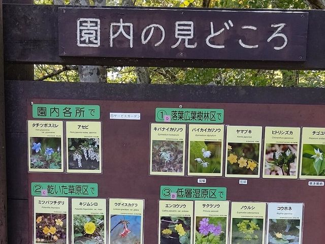 Hokane Botanical Garden of Wetlands