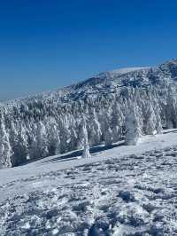 藏王連峰：宮城縣的四季奇景🏔️⛷️