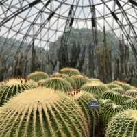 深圳仙湖植物園，愛花人士必到景點