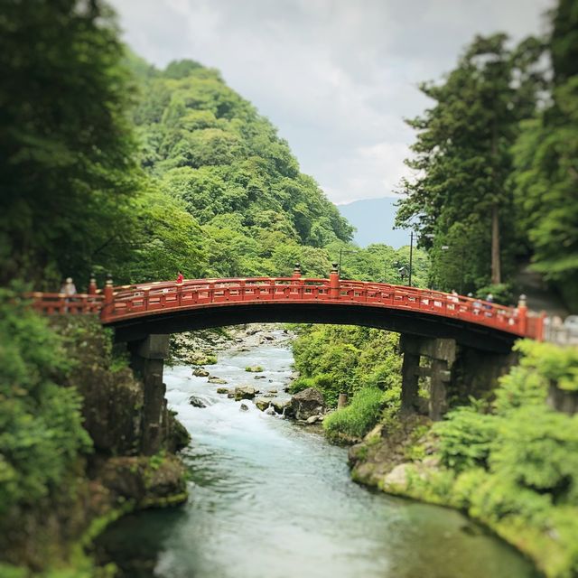 東京から日帰り日光