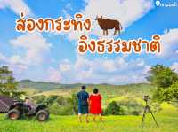 ส่องกระทิง…อิงธรรมชาติ @เขาแผงม้า 🐃