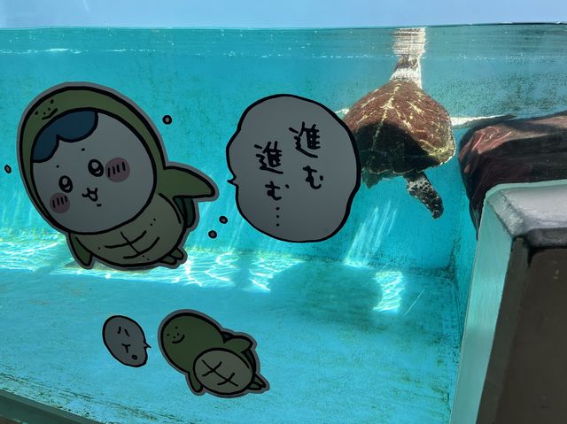 【仙台うみの杜水族館】水族館とちいかわ