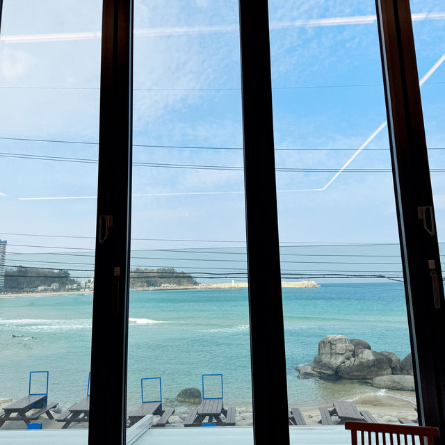 🇰🇷양양 죽도해변 오션뷰 마할로카페, 애견동반시 멍푸치노 무료!🐾☕️