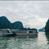 Halong Bay Day trip Cruise