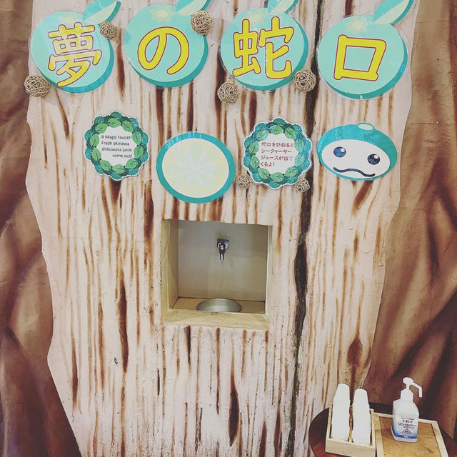 大宜味村シークァーサーパーク