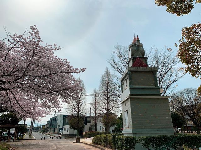 ชมดอกซากุระ ที่สวนสาธารณะเมืองชิริว ไอจิ🌸