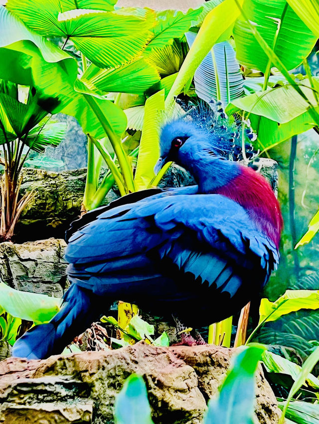Central Park zoo