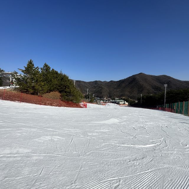 首爾近郊芝山滑雪場，超近，超方便，雪道多又寬躺，讚👍🏻