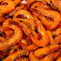 พามาทานบุฟเฟต์ Seafood ริมแม่น้ำ