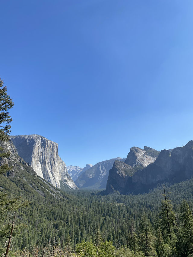 ดื่มด่ำธรรมชาติที่ Yosemite National Park ⛰️