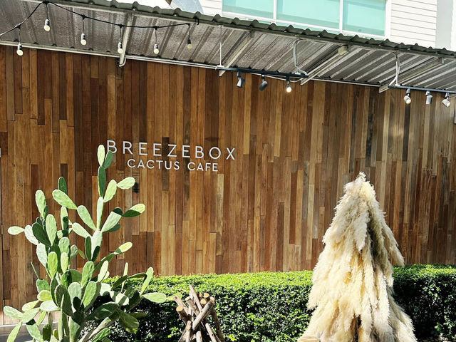Breeze Box Cafe x Cactus 