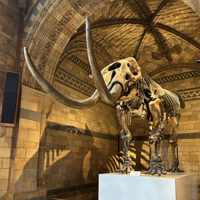 The Natural History Museum