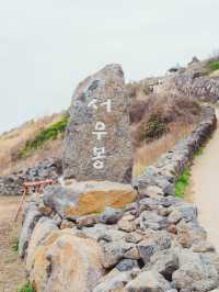 🌼제주 동쪽 유채+바다+노을 명소 [서우봉]☀️