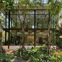 MiVana Organic Forest Coffee
