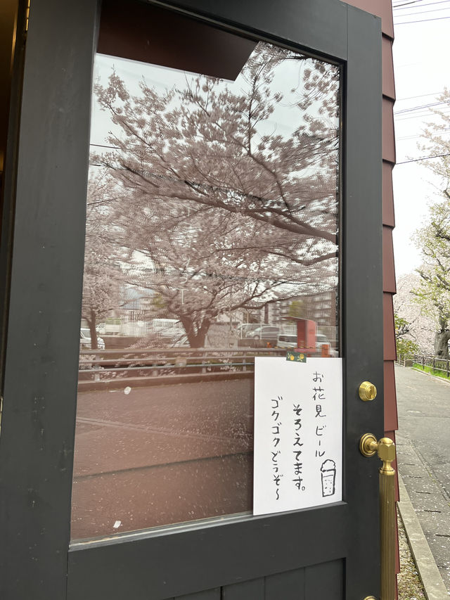 【北九州桜スポット】志井川の桜並木🌸