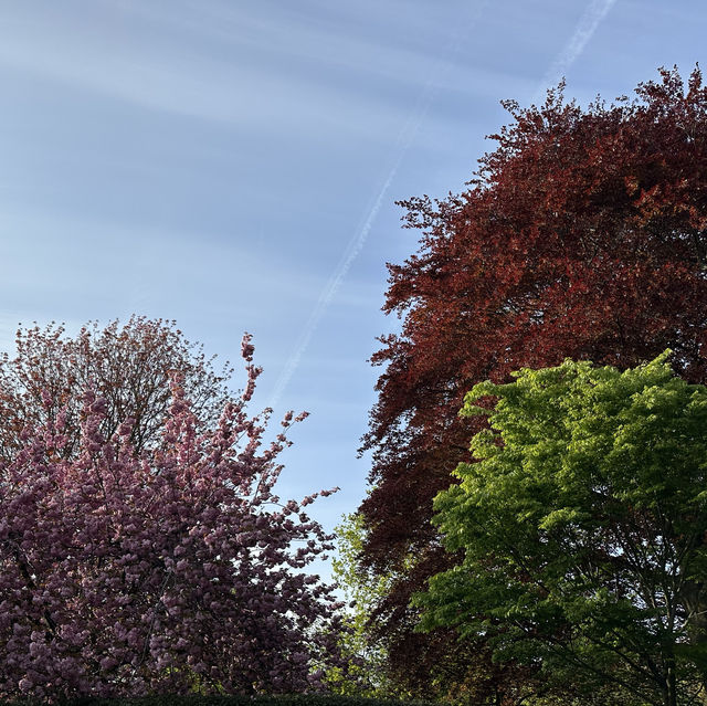 City park in Nottingham, Arboretum