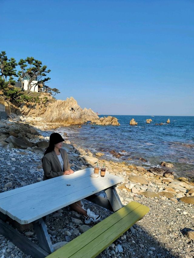 여름이 기다려지는 경주 오션뷰 직관카페🌊