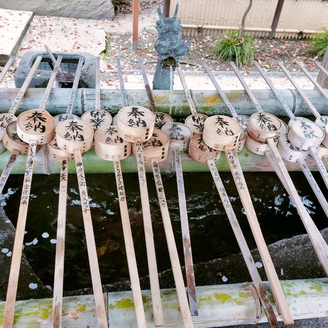 春の大阪旅行🌸都会の絶景の桜と『高津の宮』