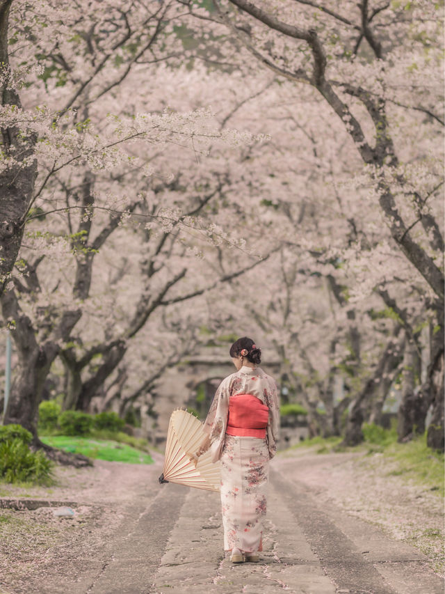 石門へと続く🌸桜のトンネル🌸