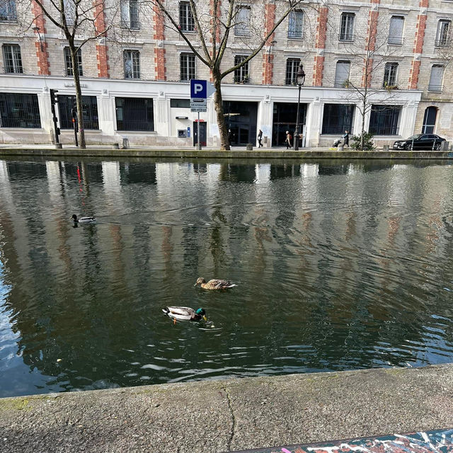 Tranquil Oasis: Charms of Canal Saint Martin🇫🇷