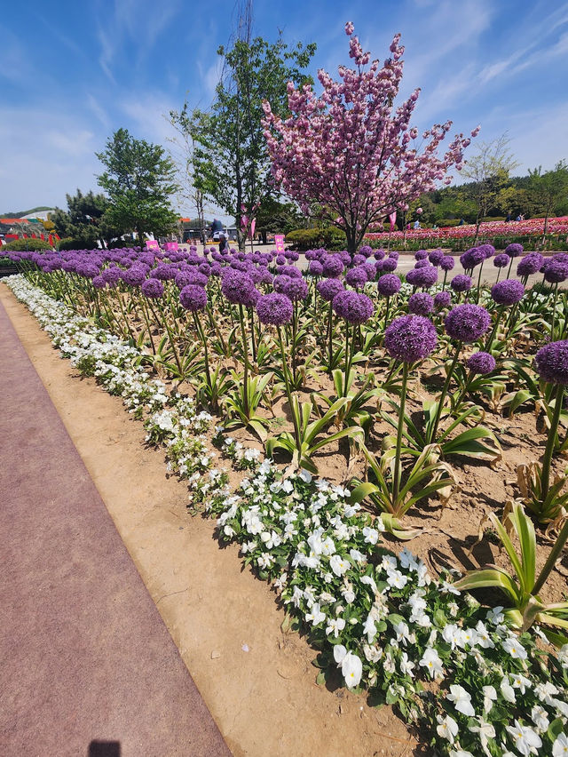 Kkotji Shoreline Park 