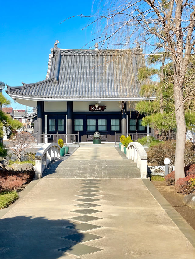 【祥応寺/東京都】摩迦羅（マカラ）が迎える癒しの寺院