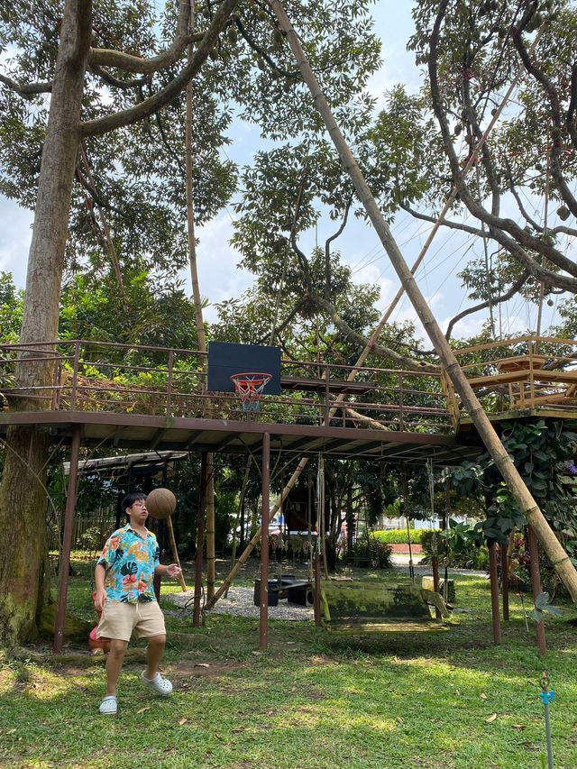 🏡สวนอรุณบูรพา คาเฟ่นี้มีสวนทุเรียนด้วยนะ🌳