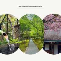 深田氏庭園：江戶時代傳統園林，春天好去處