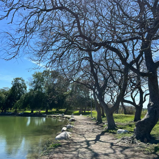 賽城湖濱公園：湖光山色