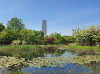 Hanbat Arboretum