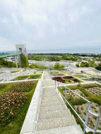 【淡路島観光】海を見渡せる100個の花壇の花々に癒される🌸🌼