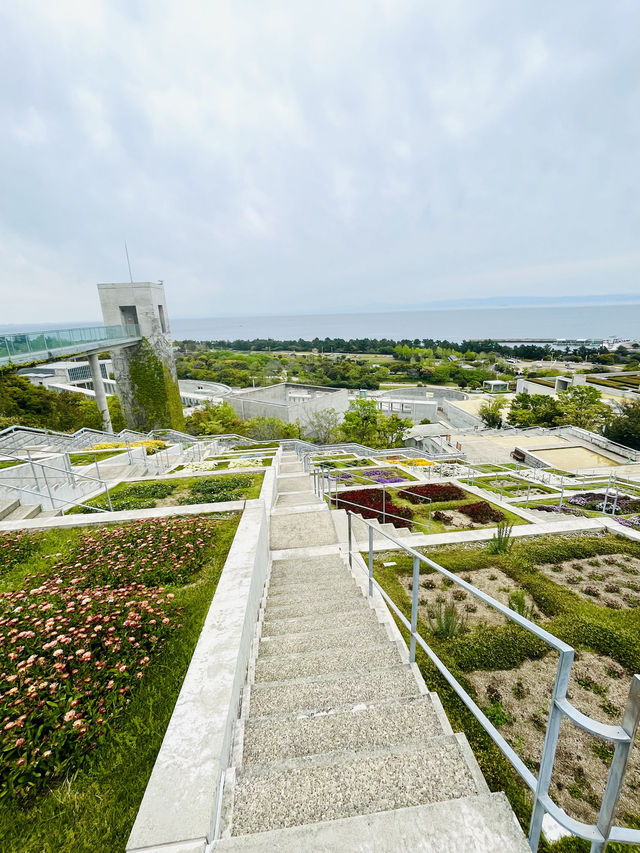 【淡路島観光】海を見渡せる100個の花壇の花々に癒される🌸🌼