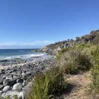  Discover Tranquility at a Tasmania Beach House