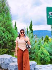 Khao Yai Art Tree cafe