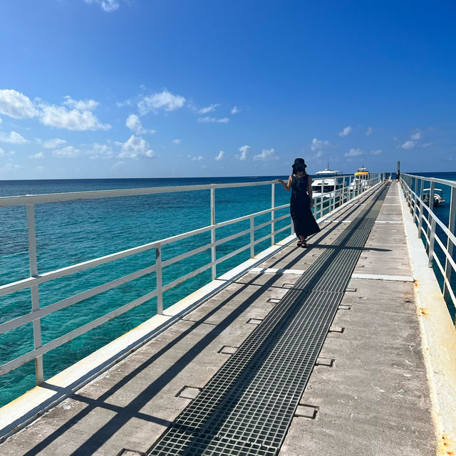 【ナガンヌ島】沖縄からフェリーで15分の島🏝️