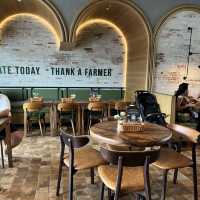 Perfect brunch date with furry friends 