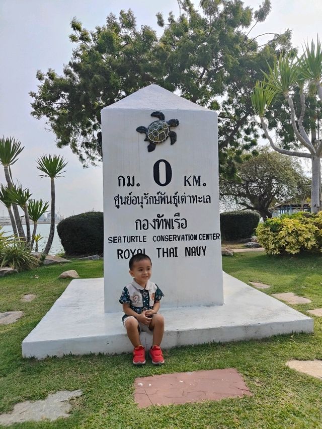 ไปชมน้องเต่าที่ศูนย์อนุรักษ์พันธุ์เต่าทะเล