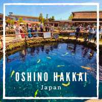 Serene Escape: Exploring Oshino Hakkai's Natural Beauty