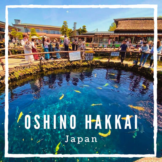 Serene Escape: Exploring Oshino Hakkai's Natural Beauty