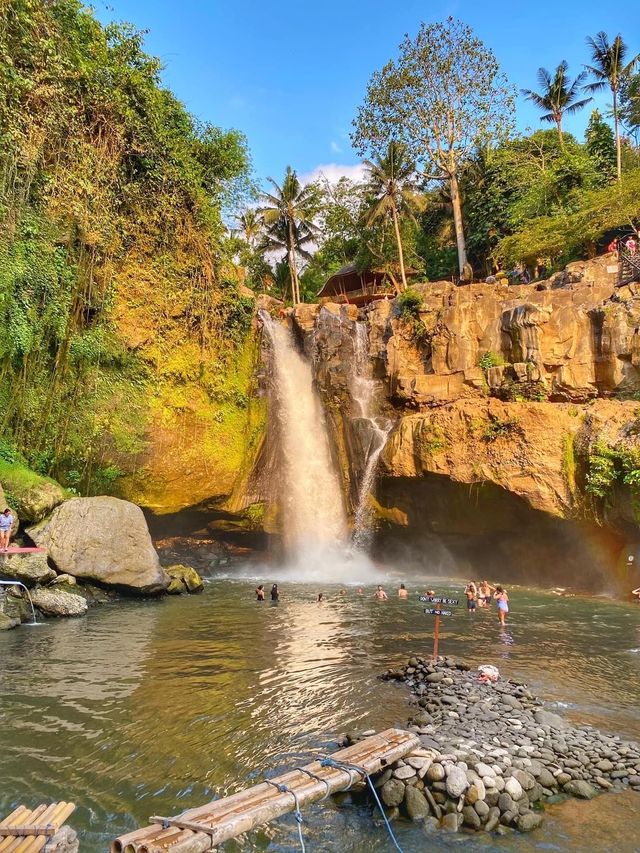💜Just Look at That Bali Beauty💜Save this!! 