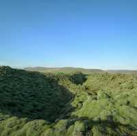 The Mossy lava of Iceland เส้นทางแห่งทุ่งมอส
