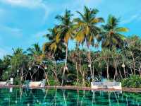 🏖️ Relax at Thaala Bentota