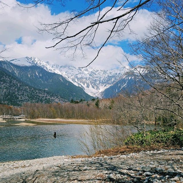 必訪日本阿爾卑斯山美景〔大正池〕