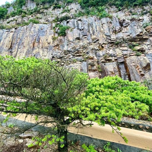 A Must-Visit Hidden Gem in Hong Kong😃