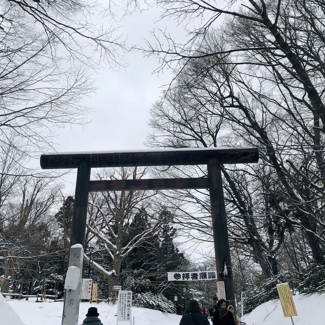 Winter Wonderland Magic: Maruyama Park in Sapporo