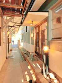 【日光】観覧車がエモい🤍猫好きさんにおすすめ🩶レトロな裏路地さんぽ🐈‍⬛ ͗ ͗〰︎︎❤︎