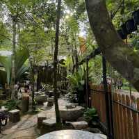 Kopi Hutan คาเฟ่ในป่าที่สูงที่สุดในปีนัง
