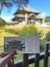 【保存版🔖】奈良旅の王道スポット3選👑1日で巡るプラン付き🗓️‼️