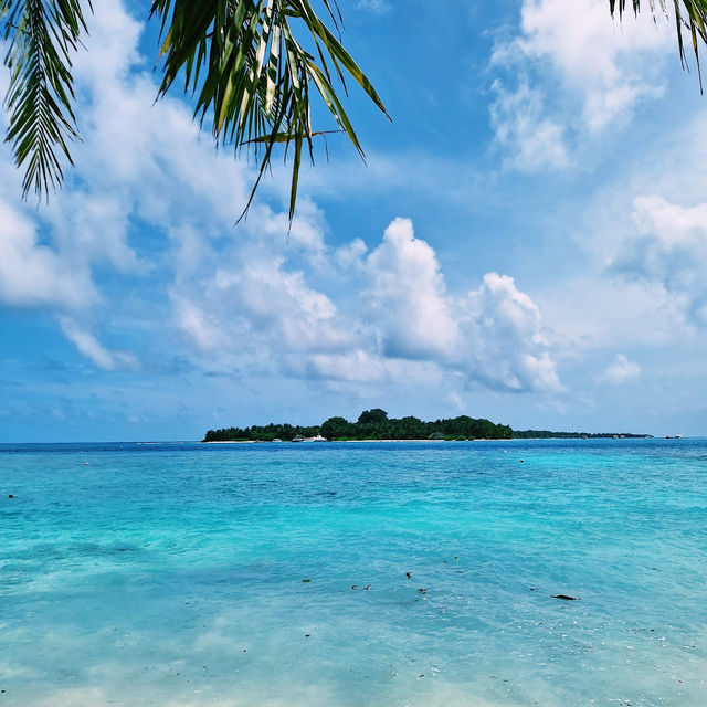 The Shallow Lagoon Rasdhoo
